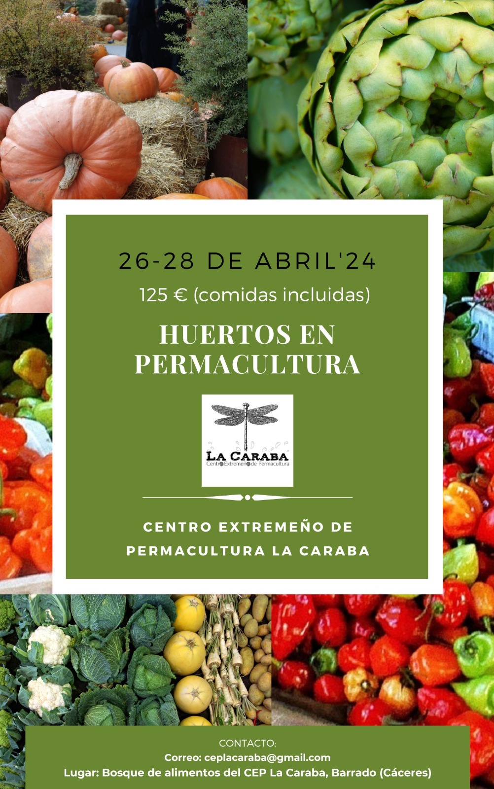 Curso Huertas Abril 2024